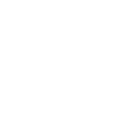 Big Island Hog Removal LLC logo